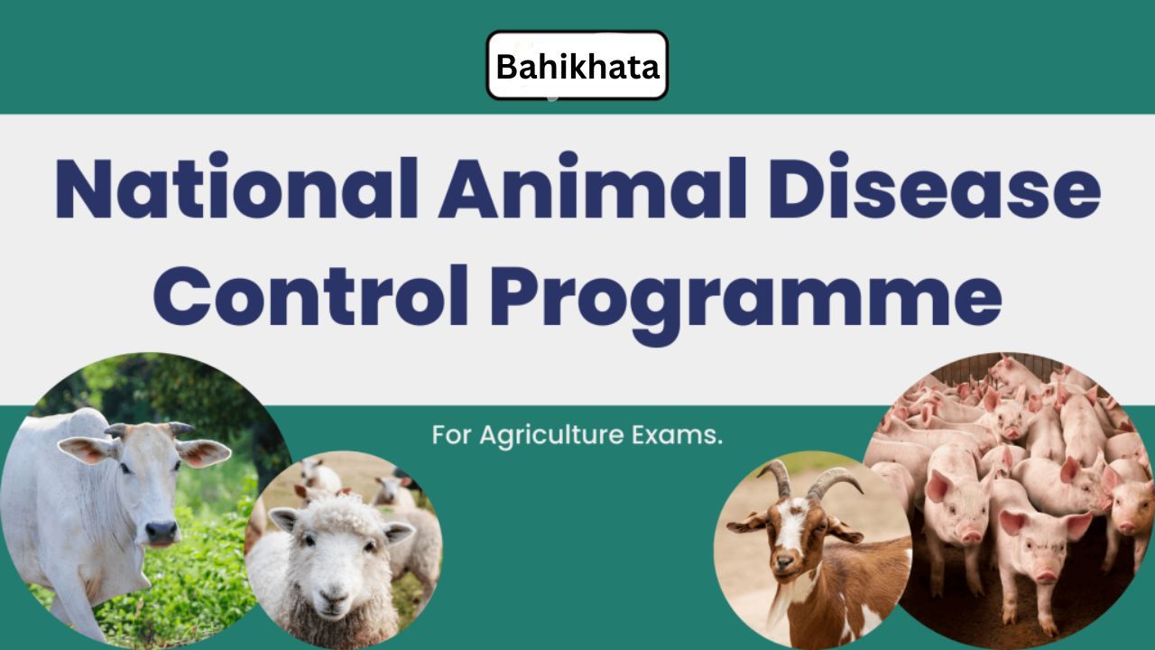 National Animal Disease Control Programme(NADCP): Understanding FMD and Brucellosis