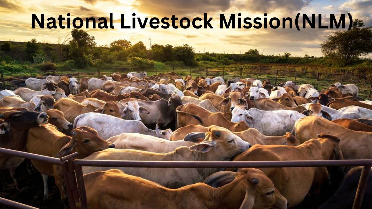 National Livestock Mission(NLM)