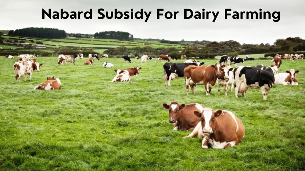 NABARD Schemes - Dairy Entrepreneurship Development Scheme