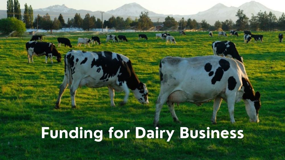 Maximizing Funding Opportunities for Your Dairy Farm Business Growth